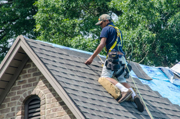 Best Storm Damage Roof Repair  in Lockport Heights, LA